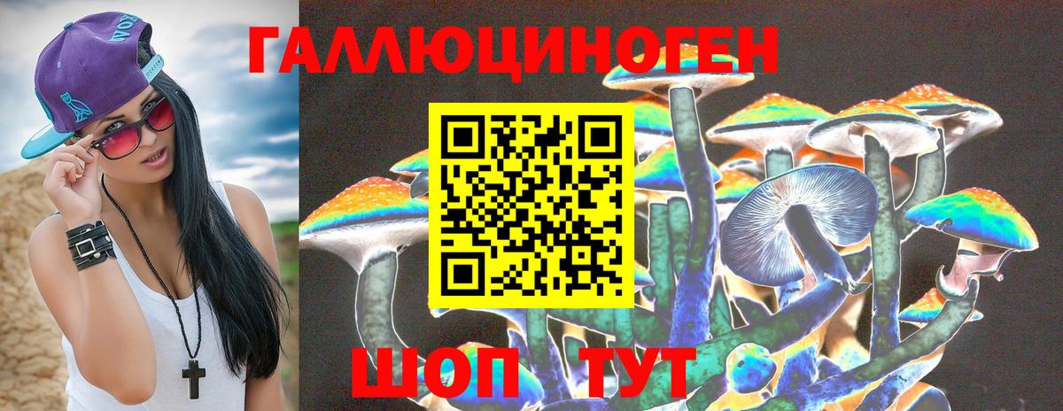 Галлюциногенные грибы GOLDEN TEACHER Мценск